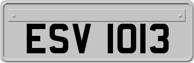 ESV1013