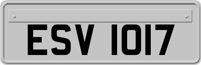 ESV1017