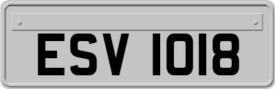 ESV1018
