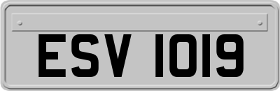 ESV1019
