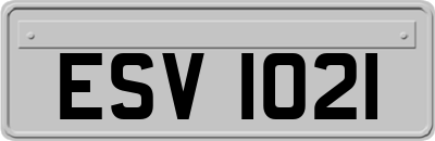 ESV1021