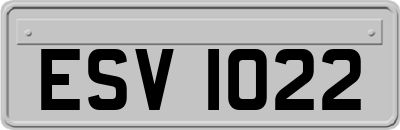 ESV1022