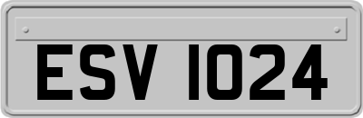 ESV1024