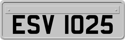 ESV1025