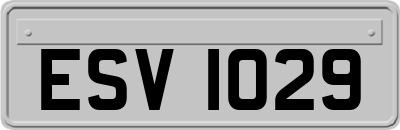 ESV1029