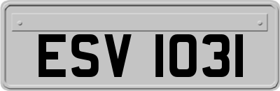 ESV1031