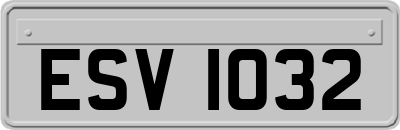 ESV1032