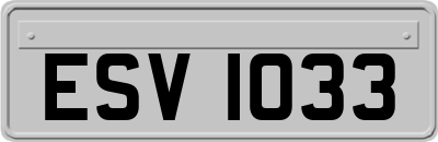 ESV1033