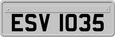 ESV1035
