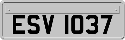 ESV1037