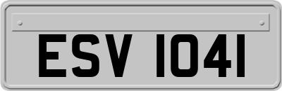 ESV1041