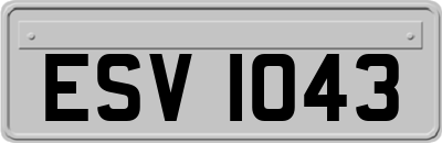 ESV1043