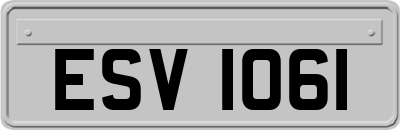 ESV1061