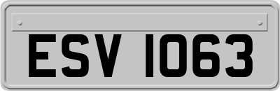 ESV1063