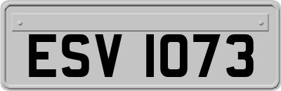 ESV1073