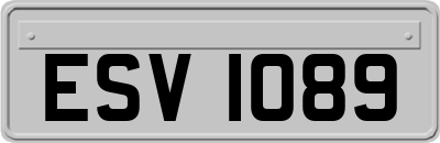 ESV1089