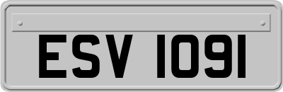 ESV1091