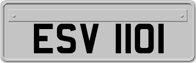 ESV1101