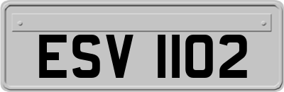 ESV1102