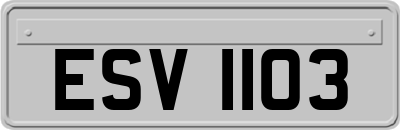 ESV1103