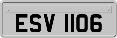 ESV1106