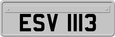 ESV1113
