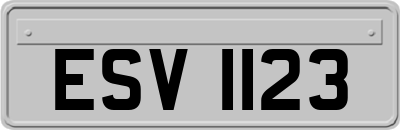 ESV1123