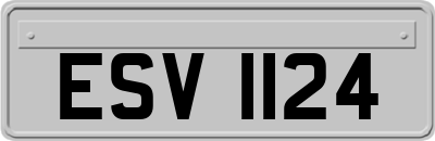ESV1124