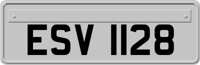 ESV1128