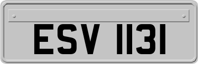 ESV1131