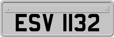 ESV1132