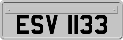ESV1133