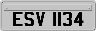 ESV1134