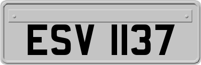 ESV1137