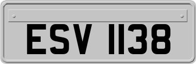 ESV1138