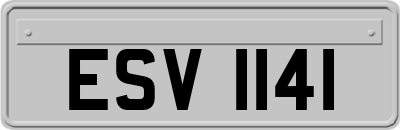 ESV1141