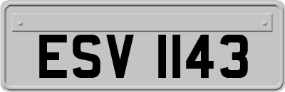 ESV1143