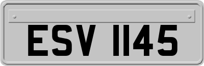 ESV1145