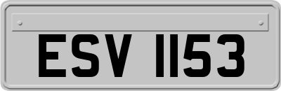 ESV1153