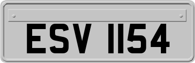 ESV1154