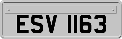 ESV1163