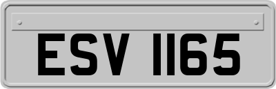 ESV1165