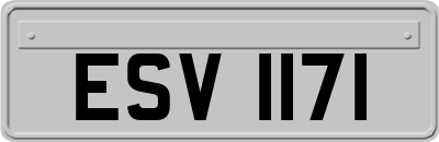 ESV1171