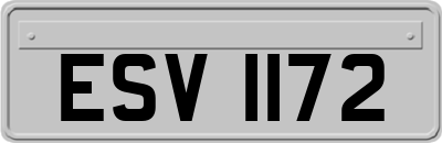 ESV1172