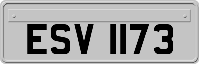 ESV1173