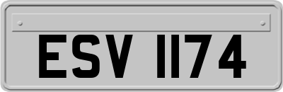 ESV1174