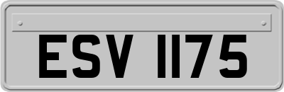 ESV1175