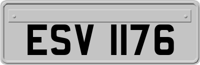 ESV1176