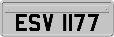 ESV1177