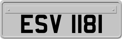 ESV1181